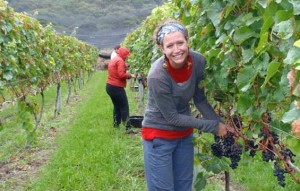 vendemmia (2)