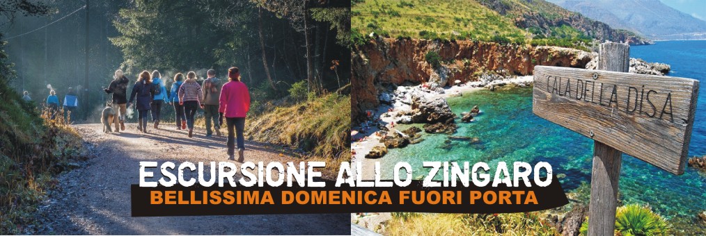 ZINGARO 2
